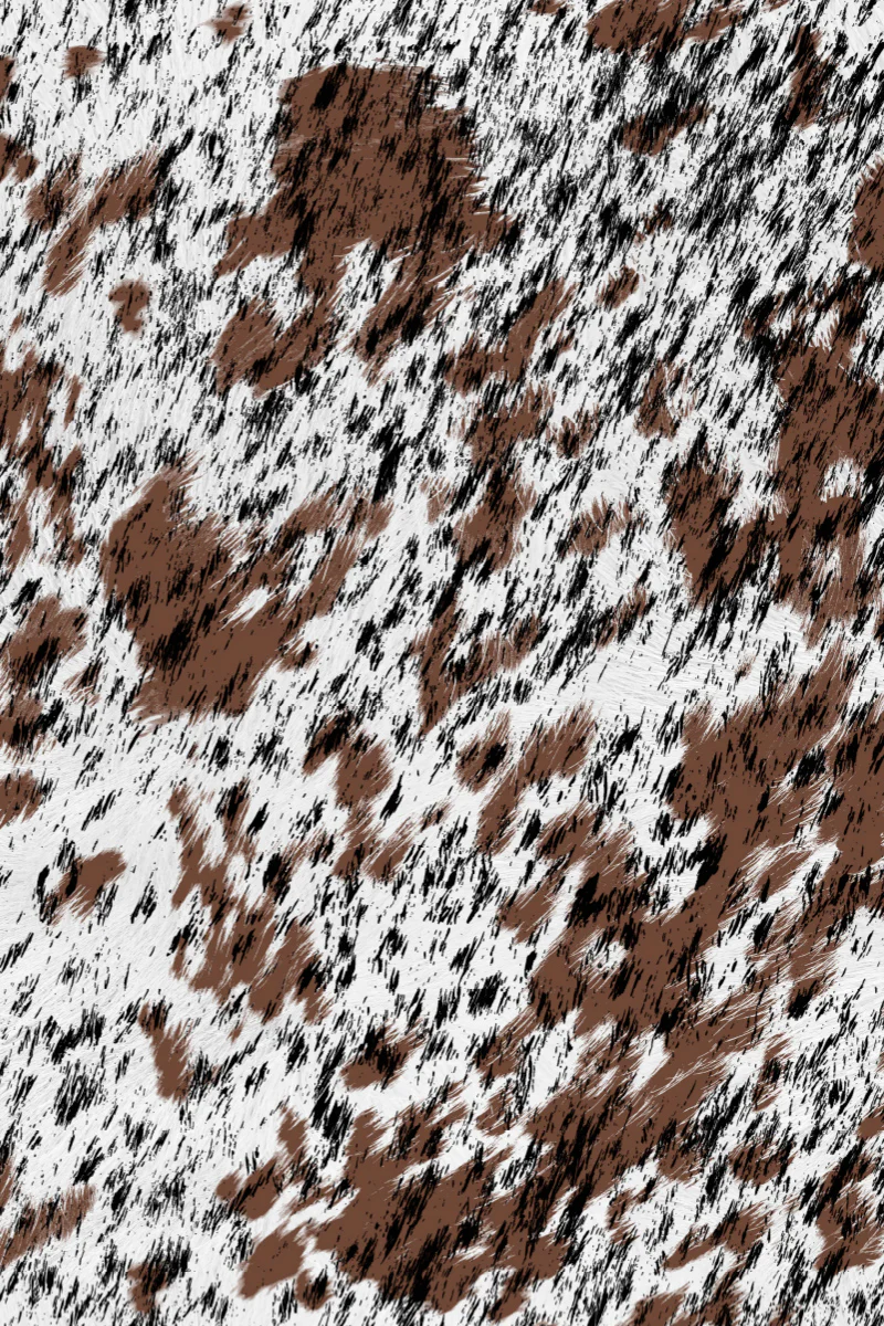 2 Way Pants - Heeler - Image 7
